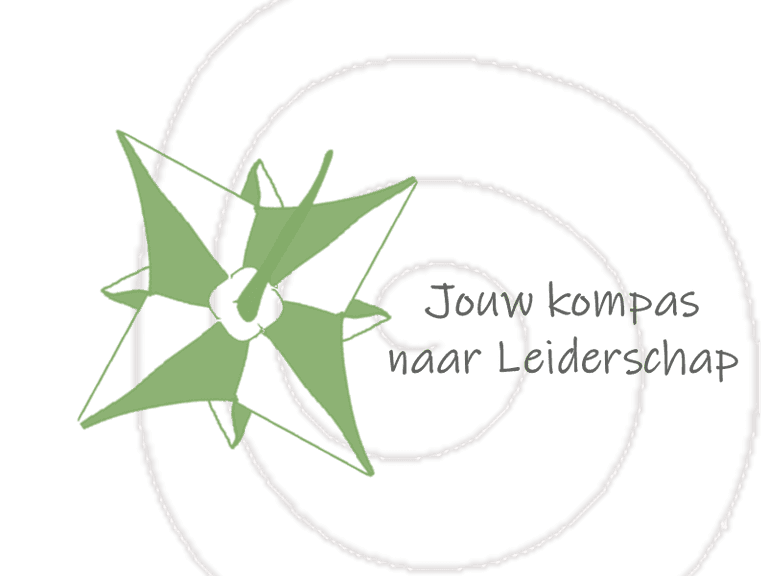 kompas leiderschap
